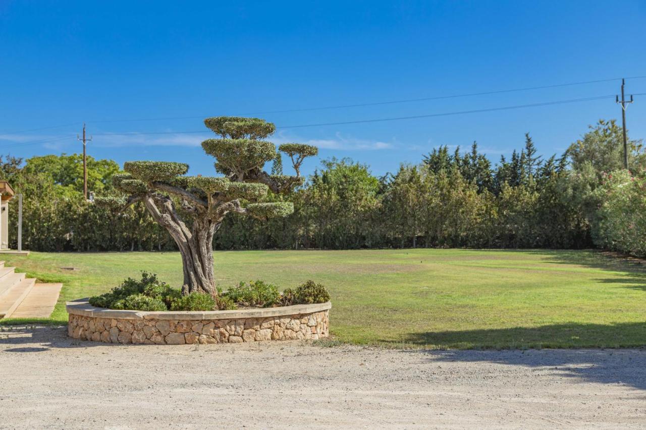 Villa Can Magnus Alcúdia Esterno foto